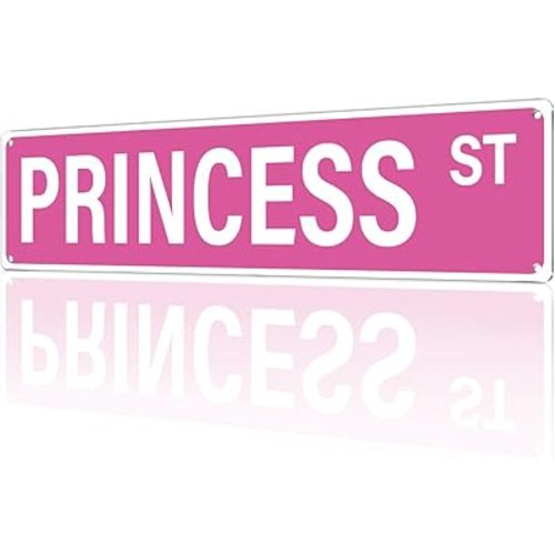 'PRINCESS ST' Pink Room Decor Aesthetic – 16x4″ Cute Street Signs for Bedroom | Trendy Y2K Posters Wall Decorations for Downtown Girly Room Girl Bedroom Teen College Dorm, 2482