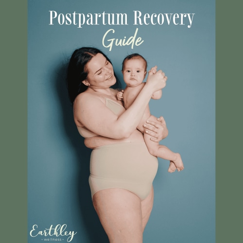 Postpartum Recovery Guide [PDF Digital Download] | Natural Wellness | Earthley | Earthley Wellness