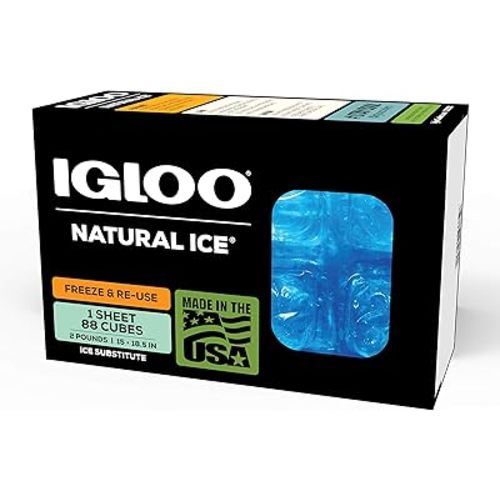 Igloo Maxcold Ice Block