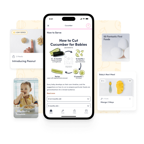 The Solid Starts App - Solid Starts & First Foods Database