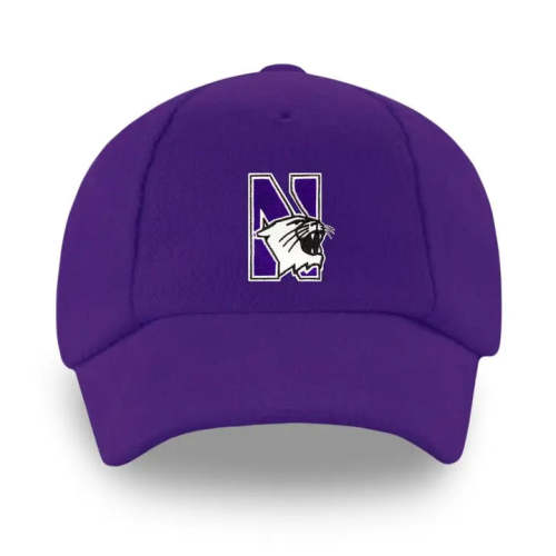 Northwestern Wildcats Infant and Toddler Baseball Cap – Little Elm