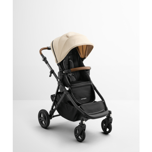 Single-to-Double Stroller 3.0