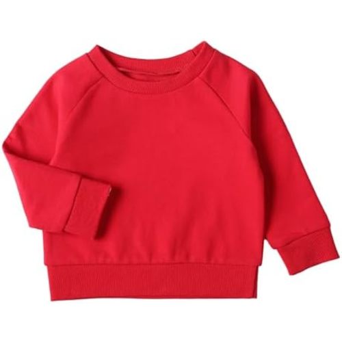 DEFAHN Toddler Baby Pullover Sweatshirt,Long Sleeve Infant Boy Girl Crewneck Active Tshirts 6 Month-3Y
