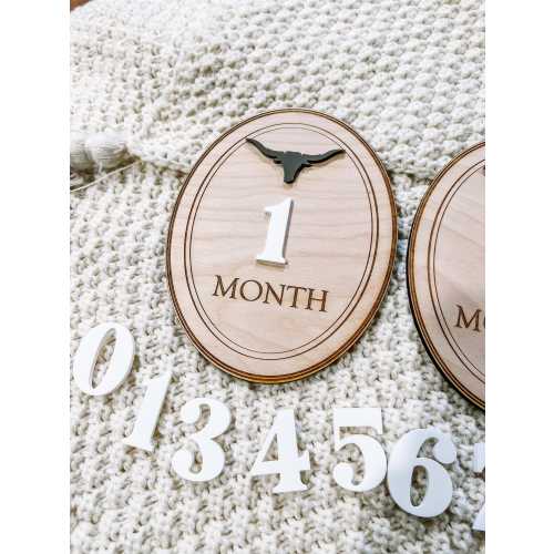 Cow Monthly Milestone Markers, Boy Monthly Photo Sign, Western Milestone Discs, Baby Shower Gift, Baby Photo Props, Bull monthly Photos