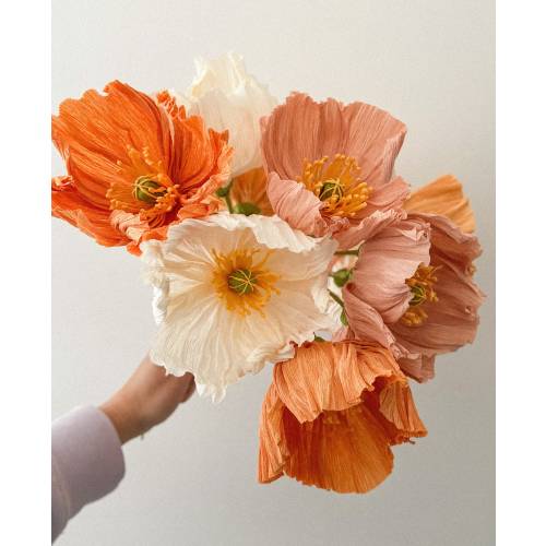Icelandic poppies bouquets