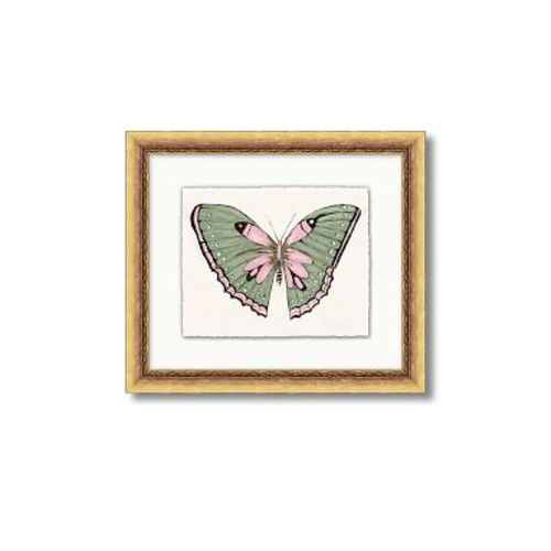 Jordan Connelly Soft Butterfly Framed Wall Art, Green/Pink, 16 x 14"
