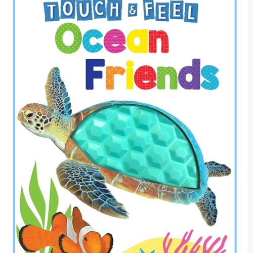 Ocean Friends - Touch and Feel Board Book - Sensory Board Book
