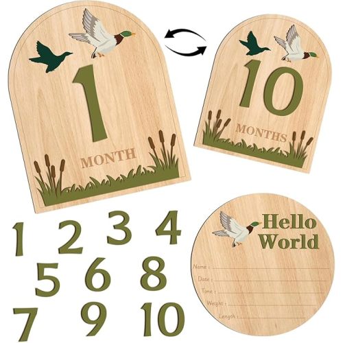 Mallard Duck Hello World Newborn Signs - Hello World Newborn Announcement Nursery Decor Keepsake Gifts Baby Birth Name Wooden Announcement Sign Plaque for Photo Props Baby Shower Hospital Nursery
