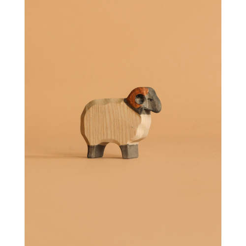 Ostheimer Moorland Ram
