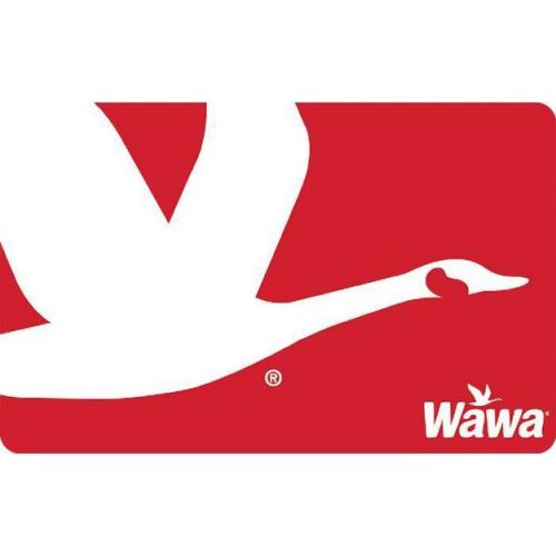 $100 Wawa Gift Card (Email Delivery)