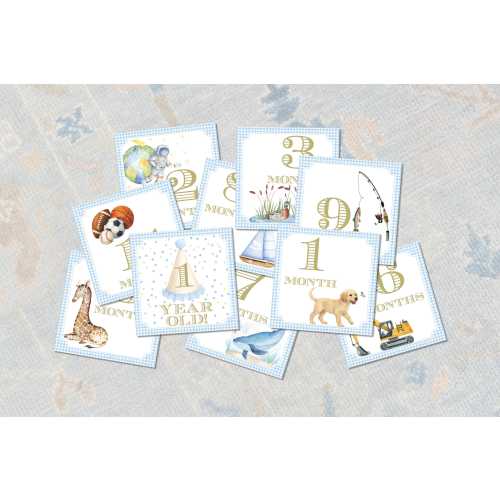 Preppy Baby Boy Milestone Cards | Watercolor Monthly Cards for First Year Photos