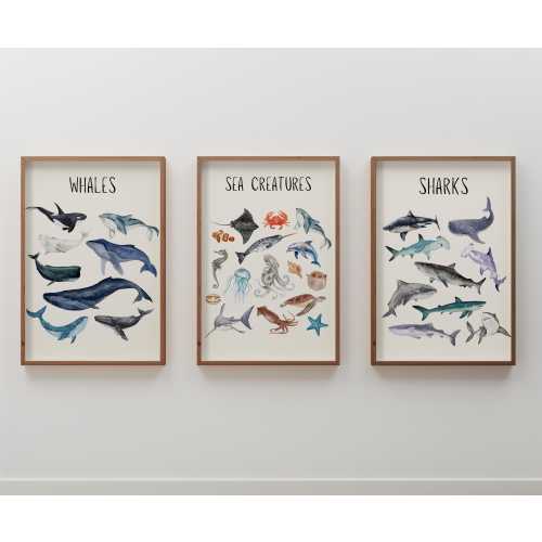 Sea Creatures Wall Art: Whales and Sharks Prints for Ocean Themed Nursery, Educational Marine Decor, Aquatic Zoology Posters