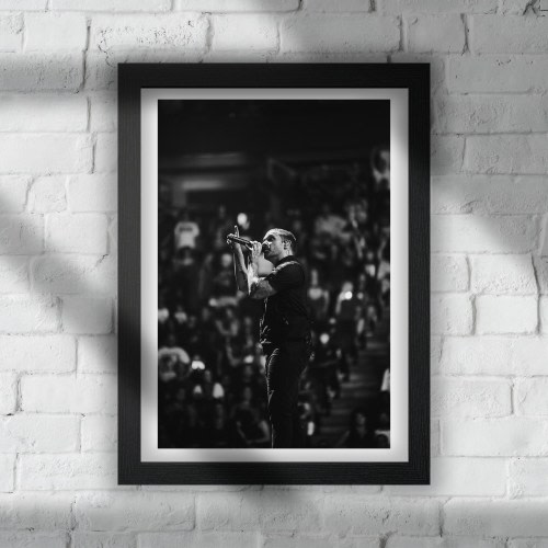 Shinedown - 8x10 Print