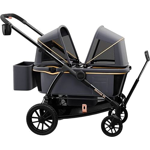 Pamo Babe Double Stroller Tandem Stroller for 2 Kids Push Pull Kids Wagon Adjustable Handle Waterproof and Sunproof Canopies Large Removable Storage Baskets