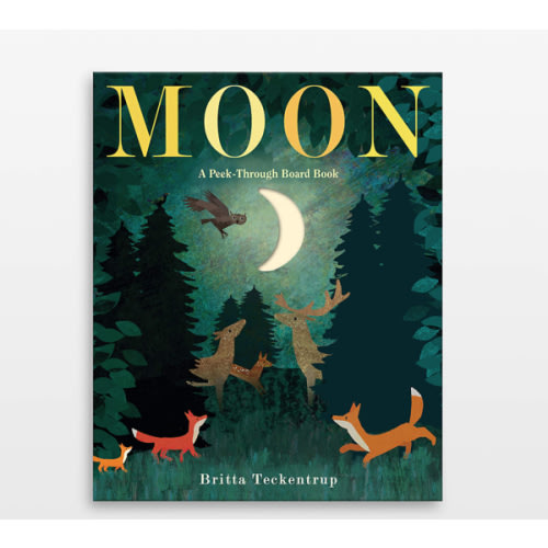Moon: A Peek-Through Kids Board Book by Britta Teckentrup