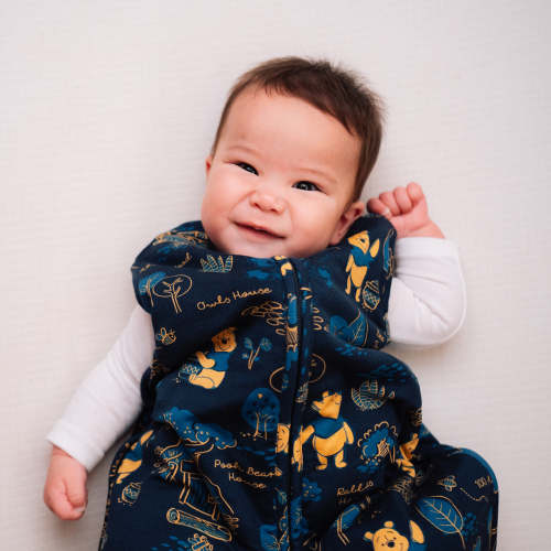 Disney Sleep Bag - Winnie the Pooh – Milk Snob