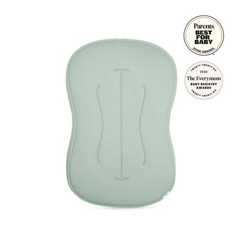 Snuggle Me Organic Infant Lounger Curve in Sage