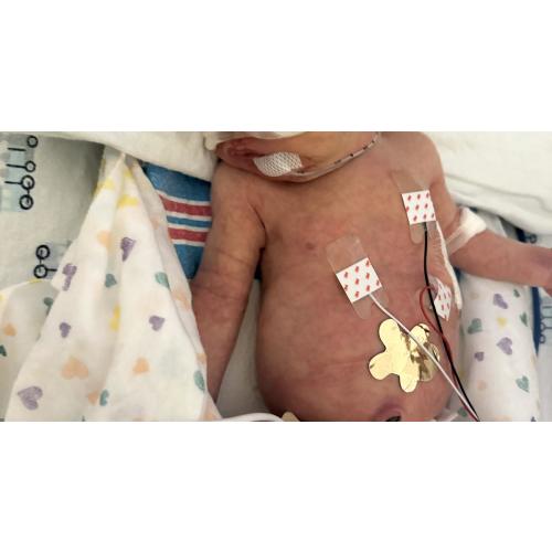 Destani's MotherFund