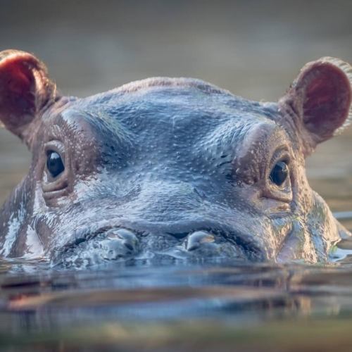 Memberships for adventures