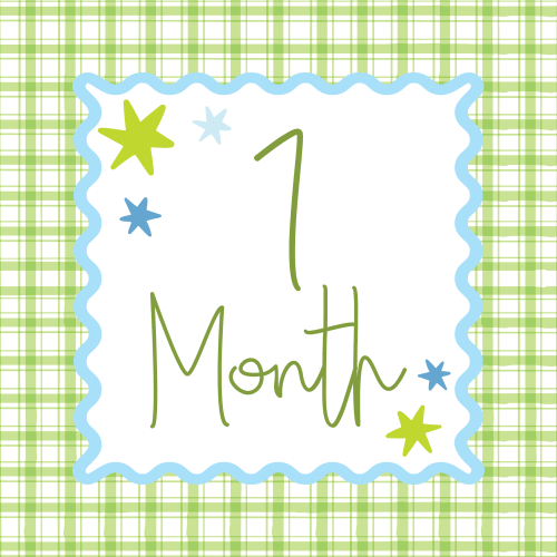 Baby Boy Milestone Cards - Stars & Plaid — Kirsten McFarlan Designs