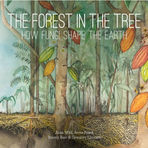 The Forest in the Tree: How Fungi Shape the Earth by Ailsa Wild, Aviva Reed, Briony Barr, Gregory Crocetti, Hardcover | Barnes & Noble®