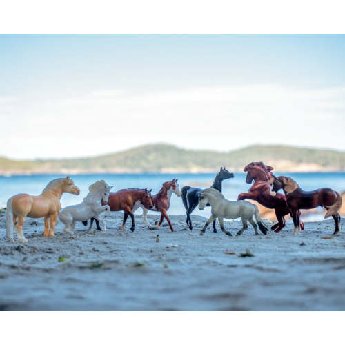 Deluxe Horse Collection