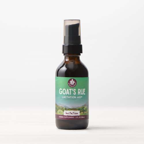 Herbal Lactation Support -Goat's Rue Tincture