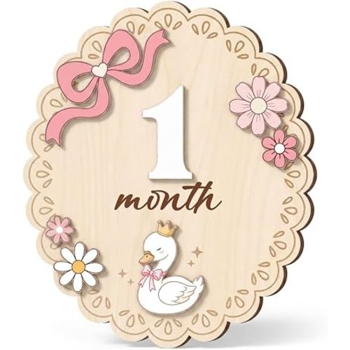 Wooden Baby Monthly Milestone Signs Swan Floral Pink Bow 1-24 Month