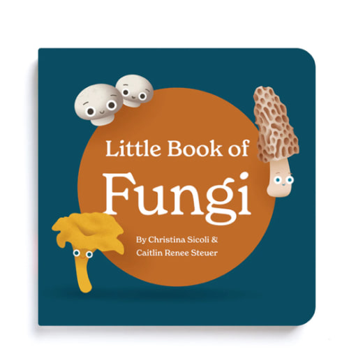 Little Book of Fungi | Classic Board Book About Mushrooms – Chunky Deli