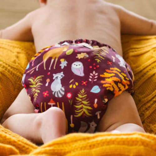 Smart One 3.1 Cloth Diaper - Ever After – Smart Bottoms