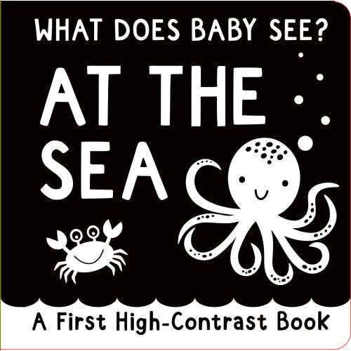 What Does Baby See? - At the Sea Board Book – Colourful Learning Toy Store