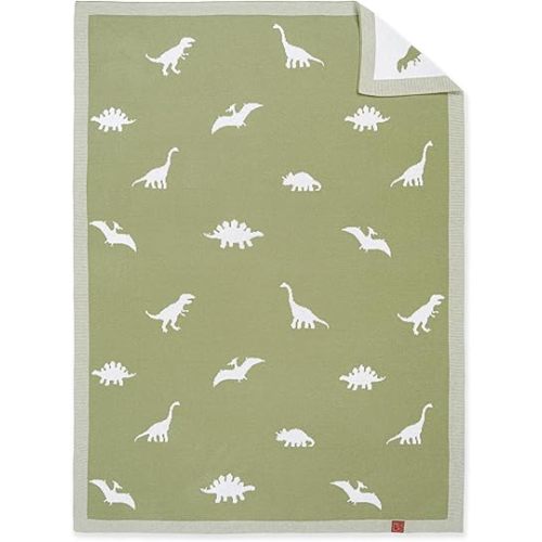 Dinosaur Jacquard Baby Blanket, 30"x40" Two-Sided Breathable Throw Blanket for Boys and Girls, Newborn Infant Toddler Ideal for Gift