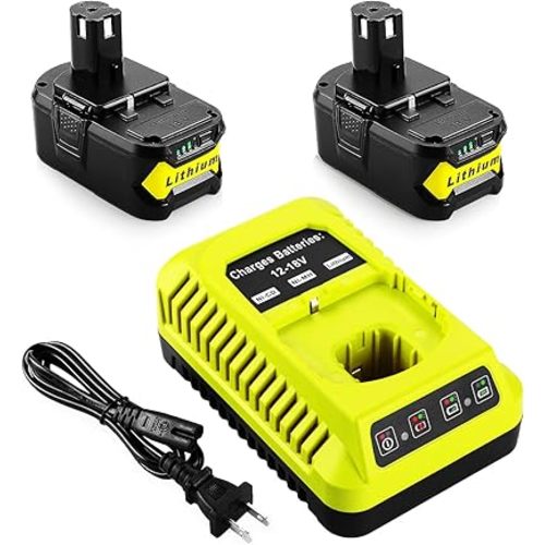 2Pack P108 18V 6.5A Replacement Ryobi 18V Batteries and Charger Kit, for 18-Volt Lithium Battery P104 P105 P102 P103 P107 P108, with a P117 P118 Fast Charger for Ryobi Battery