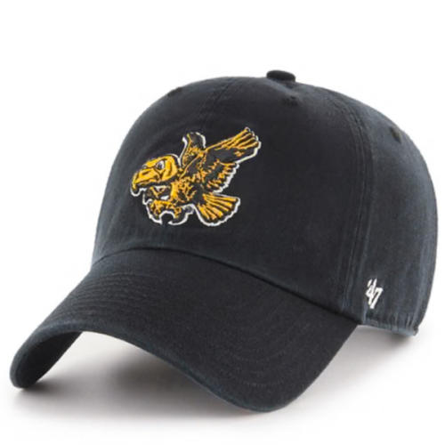 47 Iowa Hawkeyes Baby BLACK Clean Up Infant Adjustable Hat - 48020251