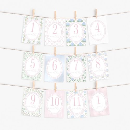 Printed Girl Floral Milestone Cards, Gingham and Ribbon Baby Monthly Keepsake Cards, Baby Shower Gift - Etsy