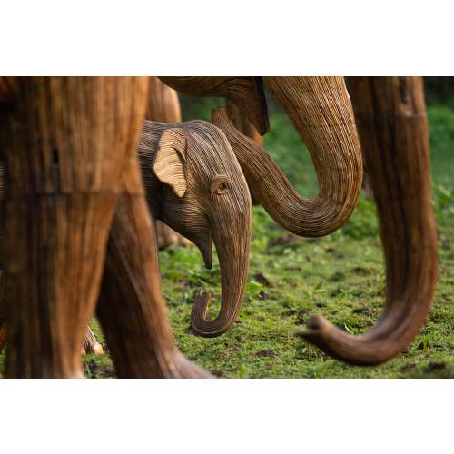 Calves (Boston Exhibit) – The Great Elephant Migration