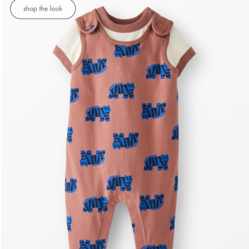 Baby T-Shirt & Overalls Set