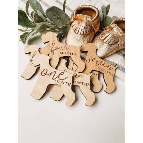 Dog Nursery Schnauzer Monthly Milestone Plaques | Baby Shower Gift | Custom Schnauzer Newborn Baby Gift for Dog Nursery | Dog Mom Gift