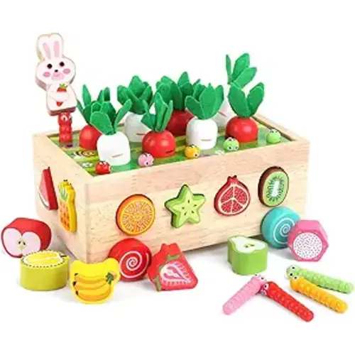 Toddlers Montessori Wooden Educational Toys for Baby Boys Girls Age 1 2 3 Year Old, Shape Sorting Toys 1st One First Birthday Girl Gifts for Kids 1-3, Wood Preschool Learning Fine Motor Skills Game