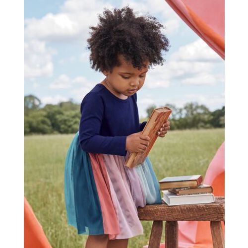 Baby Long Sleeve Tulle Rainbow Dress