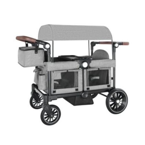 Wagon Stroller for Two Kids with Adjustable Handle, All-Terrain Wheels, Tray and Storage