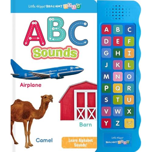 Little Hippo Books Listen and Learn ABC Book | Preschool Educational Sound Books for Kids | Brilliant Baby Educational Books & Kids Books | Alphabet ... Library: Baby & Toddler Premium Sound Books)