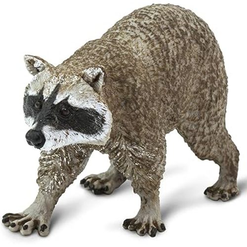 Safari Ltd. Raccoon Figurine - Detailed 3.5" Plastic Model Figure - Fun Play Toy for Boys, Girls & Kids Ages 1+