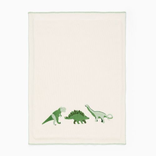 Dino Baby Blanket