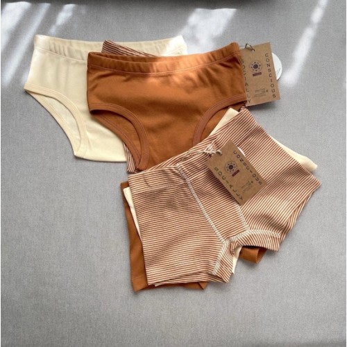 Organic Cotton Kids Underwear Set, Comfortable Kids Briefs, Skin Friendly Soft Underwear Set of 3, Kids Underwear From OEKO-TEX Pure Cotton - Etsy