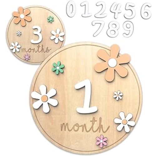 Baby Monthly Milestone Cards, Wooden Baby Milestone Discs, Newborn Photography Props, Baby Shower Gifts