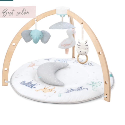 Baby Activity Gym | aden + anais
