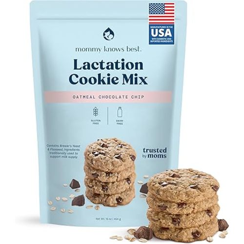 Lactation Cookies Mix - Gluten Free and Dairy Free Oatmeal Breastfeeding Cookie Supplement Support for Breast Milk Supply Increase (Chocolate Chip, 1 Pound)