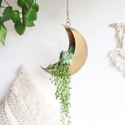 SparkDazzle Hanging Metal Moon Planter for Displaying House Plants - TikTok Shop