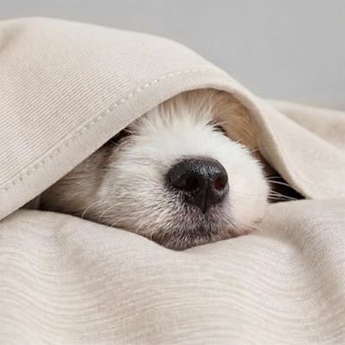 Bedsure Silky Soft Cooling Blanket for Hot Sleepers, Throw XL, Oat Beige